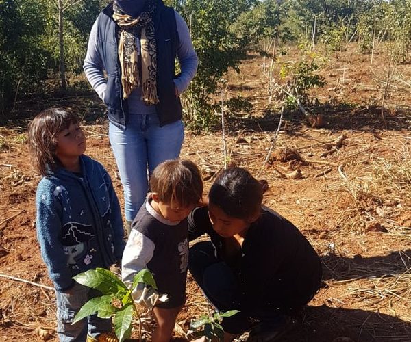 ITAIPU entrega 500 plantines a comunidad indígena de Yguazú – Diario TNPRESS