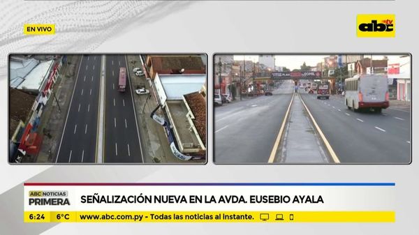 Señalización nueva en la avenida Eusebio Ayala - ABC Noticias - ABC Color