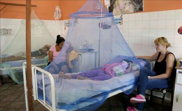 Ya hay 13 casos de dengue en Santa Rosa Misiones - Digital Misiones