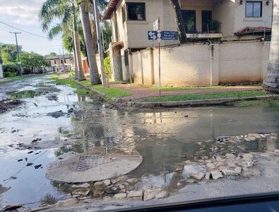 El mosquito Aedes aegypti mutó y se reproduce en aguas servidas, sucias - Digital Misiones