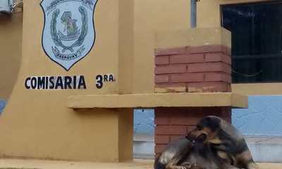 Caso intento de feminicidio; mujer recibió al menos tres impactos de bala - Digital Misiones