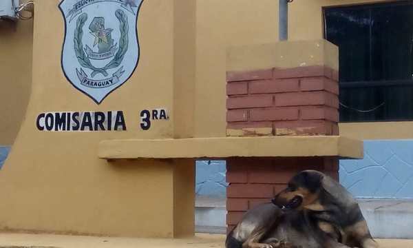 Caso intento de feminicidio; mujer recibió al menos tres impactos de bala - Digital Misiones