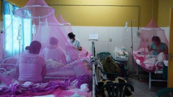 Cada paciente con dengue le cuesta al Estado unos 200 dólares por día - Digital Misiones
