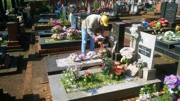 Yacyretá aporta al combate contra enfermedades transmitidas por vectores - Digital Misiones