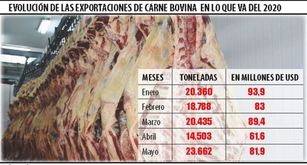 Exportaciones de carne repuntaron 63% en mayo