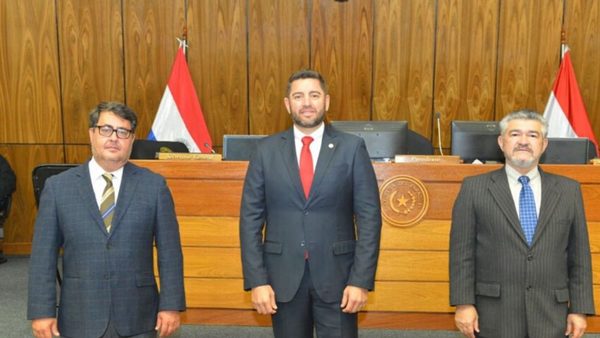 Pedro Alliana fue reelecto como presidente de la Cámara de Diputados