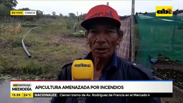 Apicultura amenazada por incendios en el Chaco - ABC Noticias - ABC Color