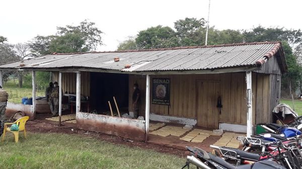 Incautan cerca de una tonelada y media de marihuana en Amambay - Nacionales - ABC Color