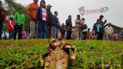 Líderes indígenas Piden Justicia para fallecidos en supuesto accidente.