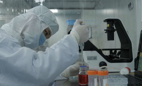 HOY / Brasil experimentará vacuna para coronavirus en dos mil personas