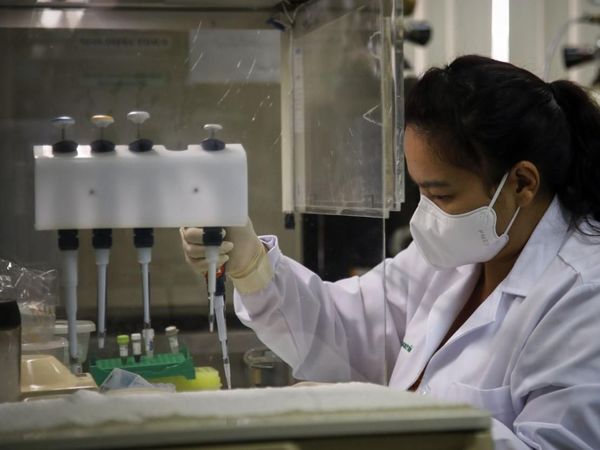 Vacuna de Oxford contra el Covid-19 será probada en 2.000 brasileños