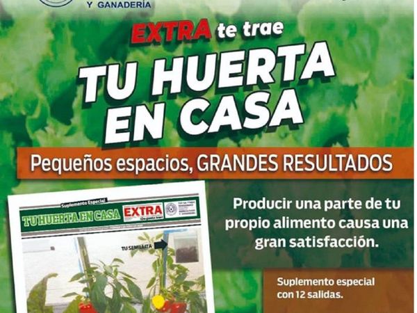 ¡EXTRA trae mañana Tu huerta en casa!