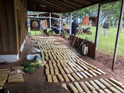 PJC: Incautan más de 1.200 kilos de marihuana