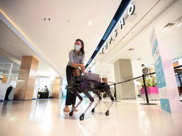 Un perro robot distribuye gel para las manos en un centro comercial en Bangkok