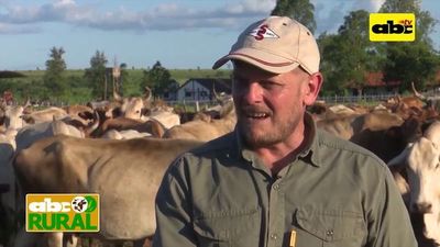 Manejo de vacas en gestación para lograr una reposición estratégica - ABC Rural - ABC Color