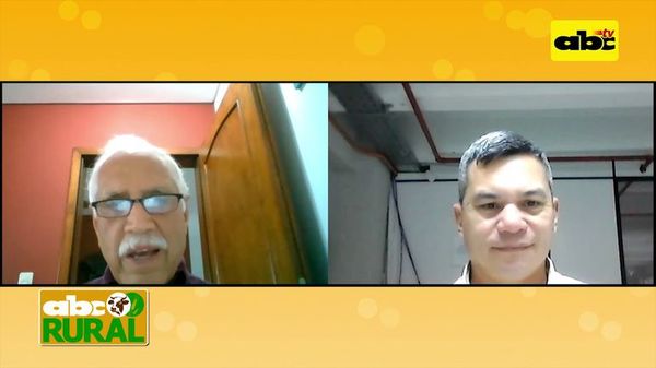 Expectativas para producción de trigo en el 2020 - ABC Rural - ABC Color