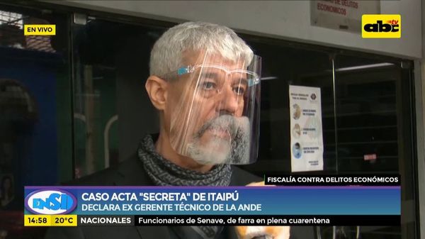 Declara el exgerente técnico de la ANDE sobre el acta “secreta” de Itaipú - ABC Noticias - ABC Color