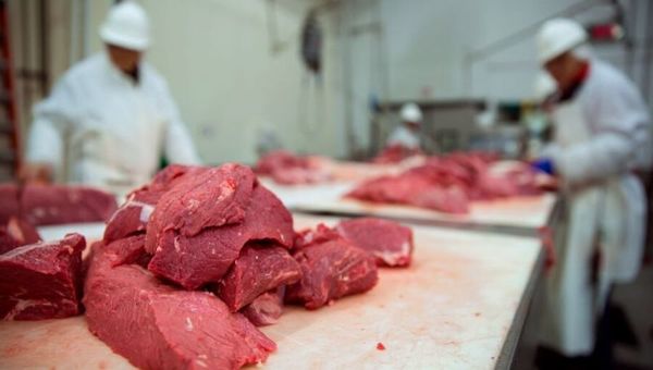 Pum para arriba: Más volumen de carne exportada, mejores ingresos y faena récord en mayo