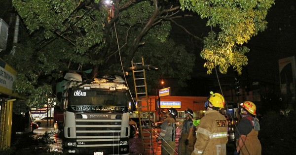 Árbol de tajy cae sobre camión y deja sin luz a todo un barrio en Acceso Sur