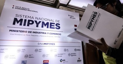 BNF ya desembolsó US$ 43 millones en créditos COVID