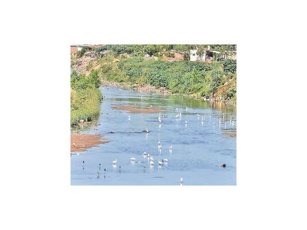 Solicitan se implemente plan ambiental