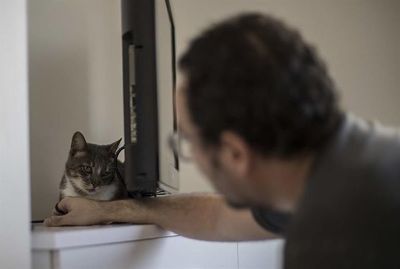 Mascotas a domicilio: la adopción se reinventa en Brasil por la pandemia - Mascotas - ABC Color