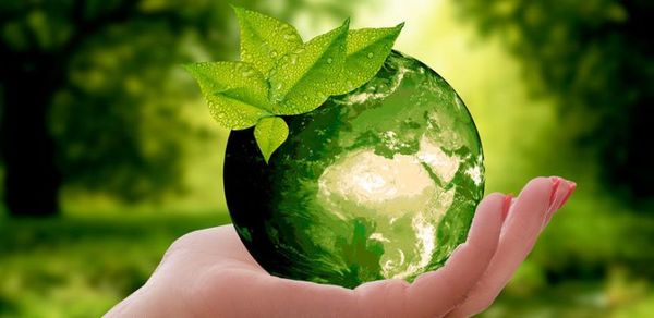 Hoy se celebra el Día Mundial del medio Ambiente