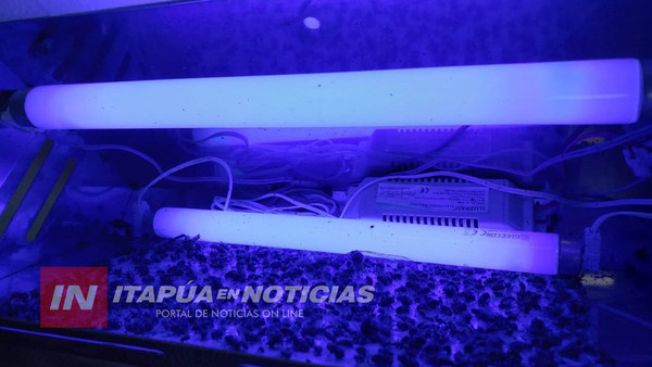 ENCARGADO DESAPARECIÓ CON BIENES DE UN URUGUAYO EN HOSPEDAJE DE ENCARNACIÓN, SEGÚN DENUNCIA