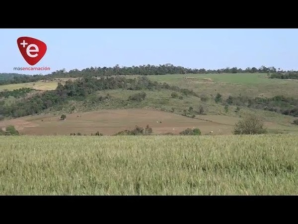 DÍA MUNDIAL DEL MEDIO AMBIENTE 2020, POR UNA RECUPERACIÓN VERDE Y SOSTENIBLE