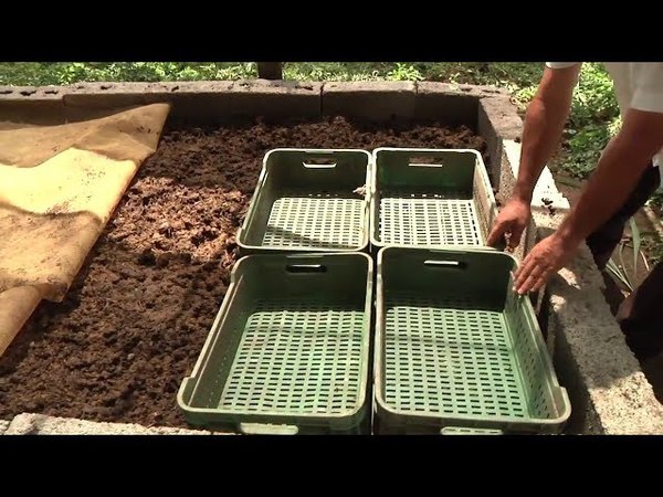 ENTREGAN ABONO ORGANICO A FAMILIAS DE ZONAS RURALES DE ENCARNACIÓN