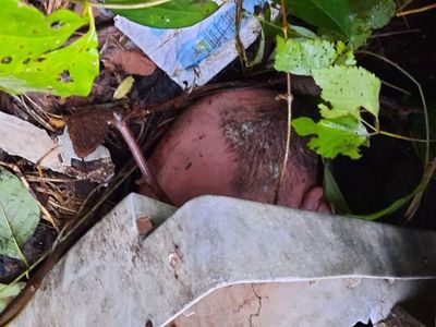 Ganadero brasileño desaparecido fue encontrado muerto en Yby Yaú