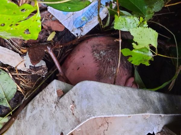 Ganadero brasileño desaparecido fue encontrado muerto en Yby Yaú