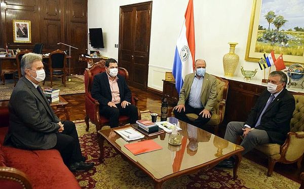 Ejecutivo impulsará ley para desmonopolizar la ANDE - Nacionales - ABC Color