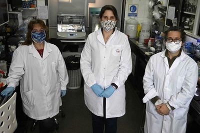 Las domadoras de virus argentinas que buscan en las llamas respuestas al covid-19 - Ciencia - ABC Color