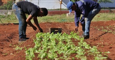 Pobladores de Villa Elisa reciben primera cosecha de huerta municipal