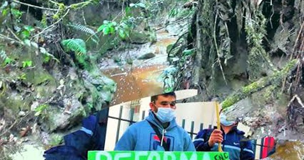 Medio ambiente: FNC pide atención al sector campesino y reforma agraria para combatir crisis