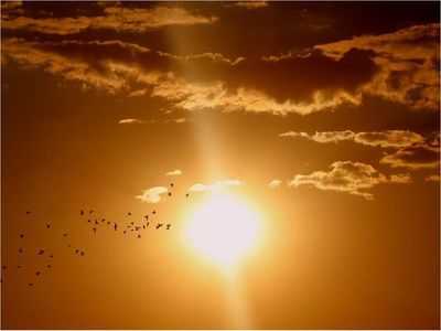 Así es cómo las explosiones solares pueden afectar a tu salud
