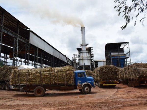 Cañicultores se manifestarán por retraso de la zafra en planta de Petropar