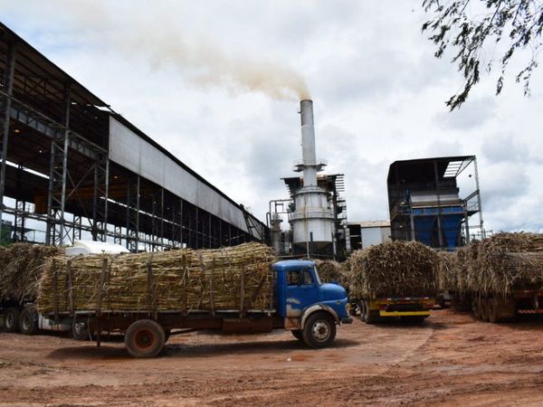 Cañicultores se manifestarán por retraso de la zafra en planta de Petropar 