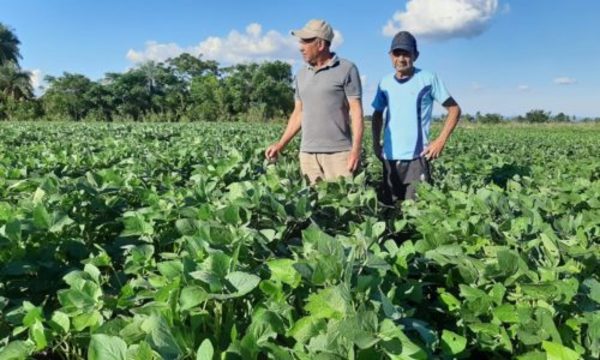 » PRODUCTORES DE CAAZAPA APLICAN AGRICULTURA SUSTENTABLE CON USO DE BIOTECNOLOGIA