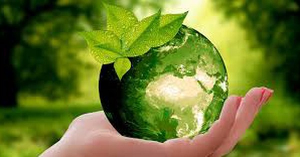 El Día Mundial del Medio Ambiente fue celebrado de forma digital