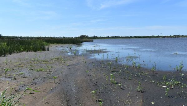 La recuperación del lago Ypacaraí se estanca en la etapa de proyectos - Interior - ABC Color