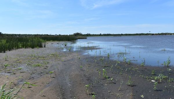 La recuperación del lago Ypacaraí  se estanca en la etapa de proyectos - Interior - ABC Color