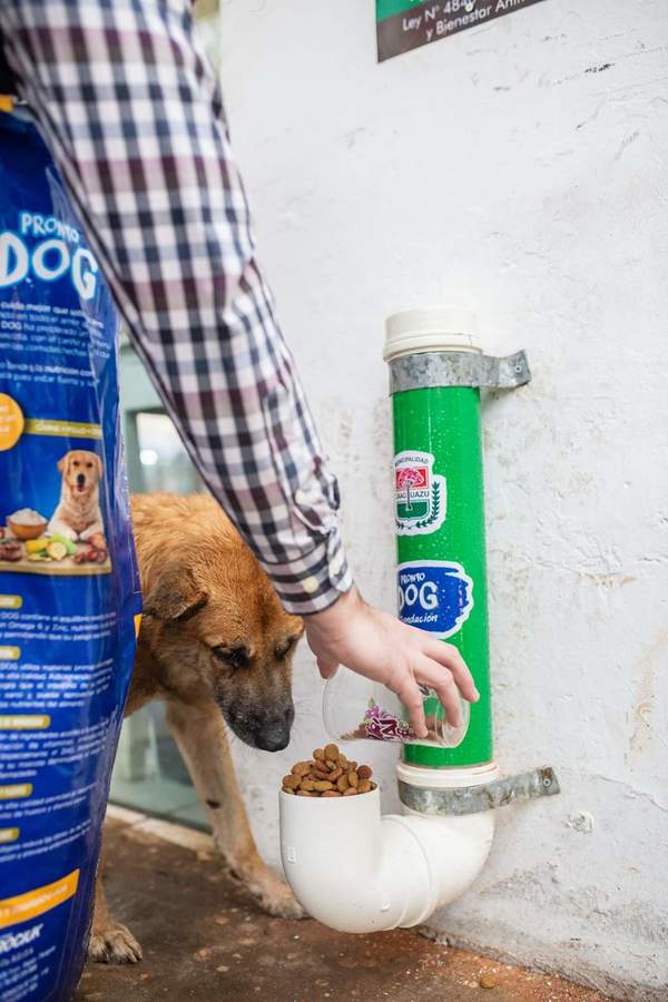 Habilitan comederos caninos en Caaguazú – Prensa 5