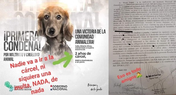 ANIMALEROS CUESTIONAN CONDENA POR MALTRATO SIN MULTA. 