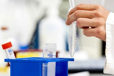 Confirman tres casos más de covid-19 en Ponta Porã - Nacionales - ABC Color
