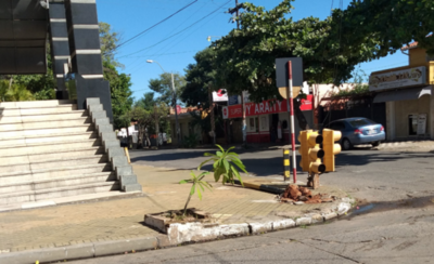 HOY / Semáforo yace tirado sobre una transitada arteria de la capital