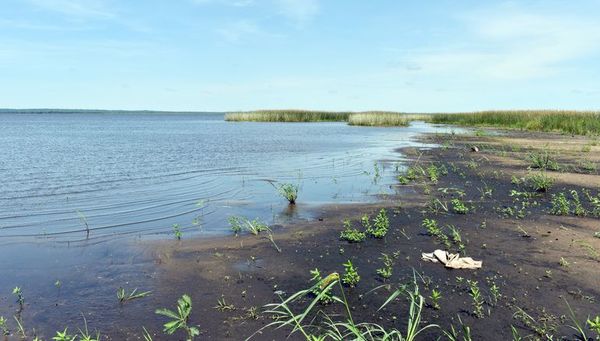 Afirman que el Mades no hace ni deja hacer nada para salvar el lago - Interior - ABC Color