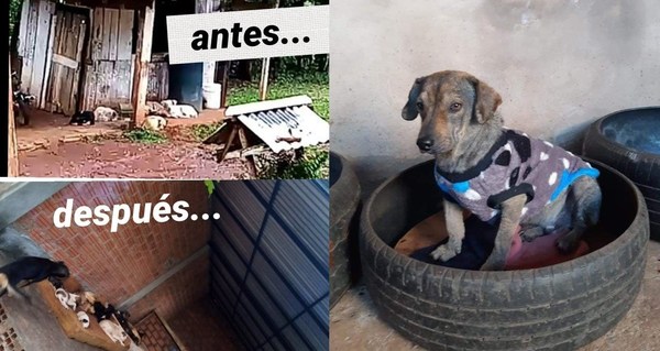 PAKOS RESCATES AYUDA A PERROS “ALAJAS” EN FRAM.
