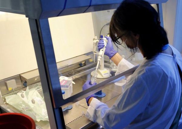 Carga viral del Covid-19 es 100 veces inferior que en marzo, asegura experto